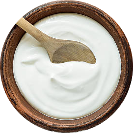 Plain Curd