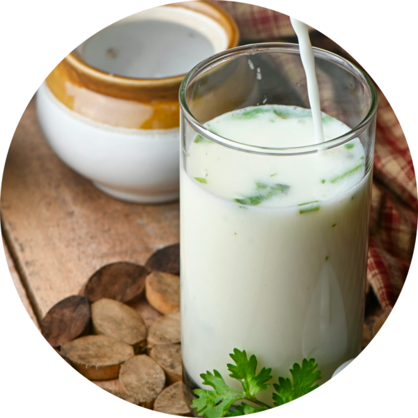 Butter Milk Plain