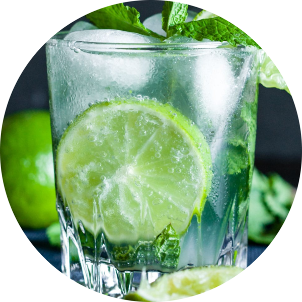 Virgin Mojito